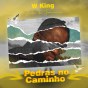 W King - Pedras No Caminho (Prod. Rafael Beat)